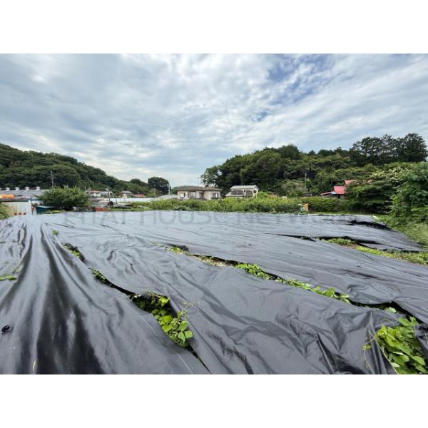 広い土地になります♪