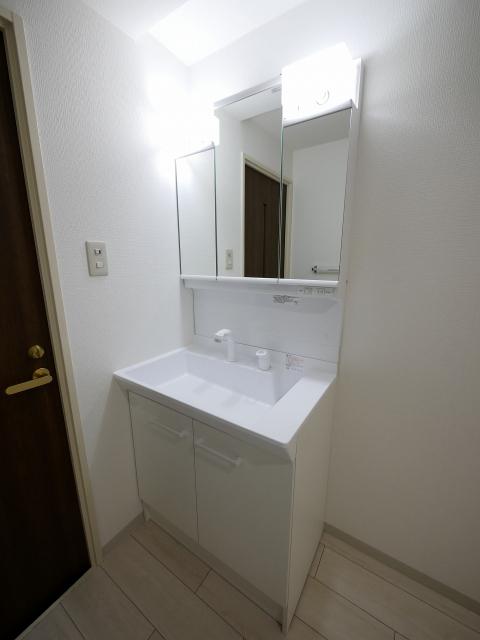 大藤ハイツ（4C） 洗面