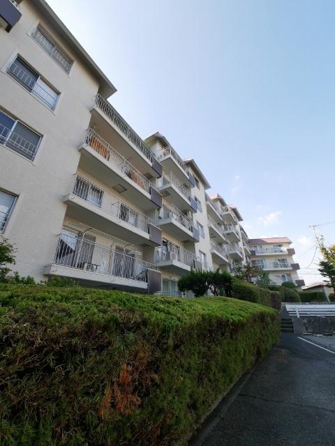 向陽ハイツ（504） 外観