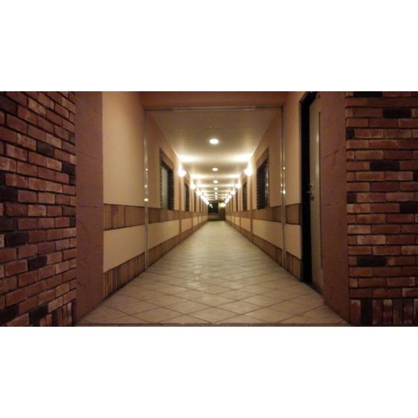 シャトレ愛松住吉 北館 物件画像