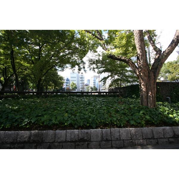 公園