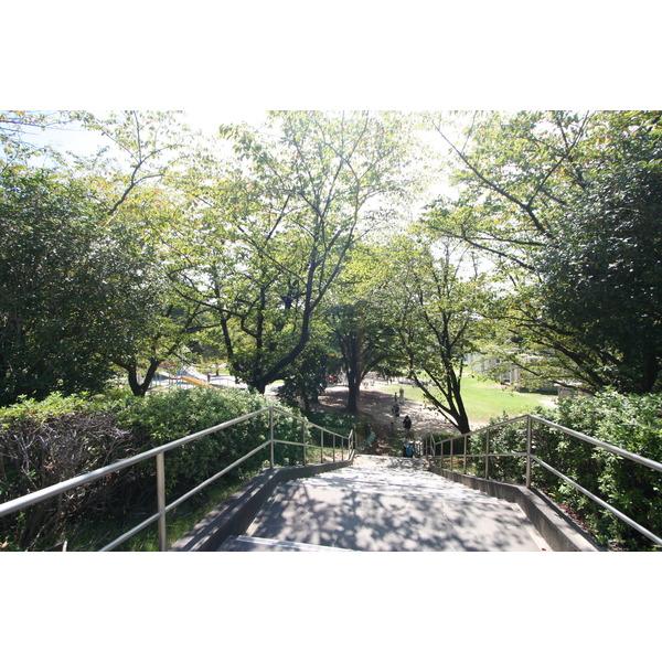 公園