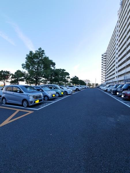 ニューコーポ名南A棟 駐車場
