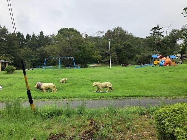 公園