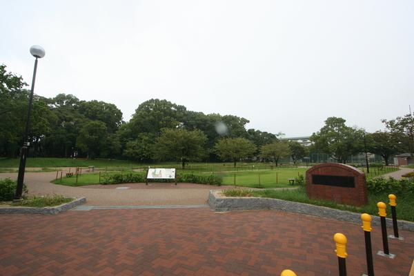 公園