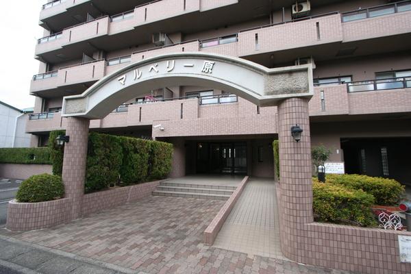マルベリー原 物件画像