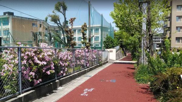 中学校