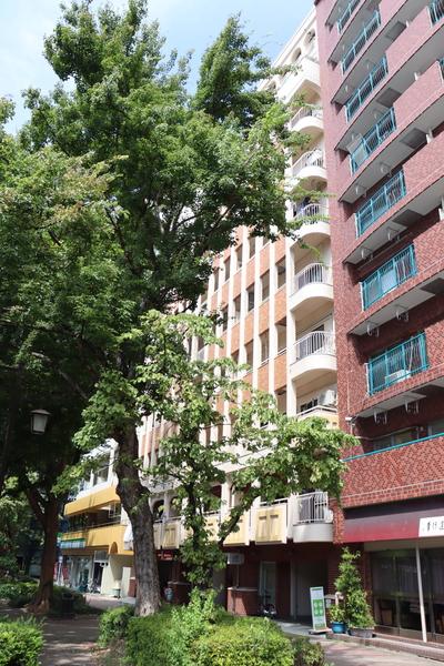 シャトー白川 外観
