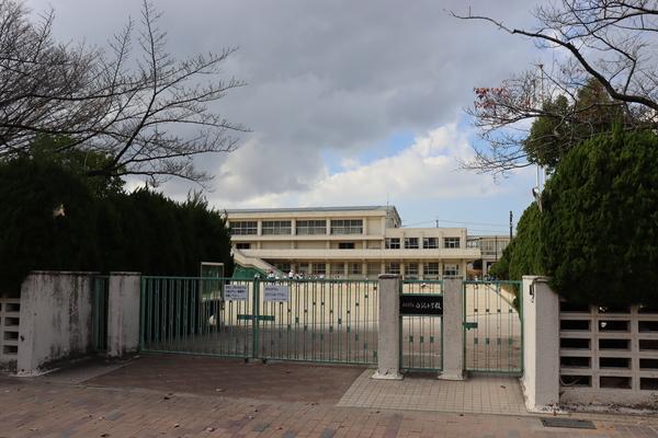小学校