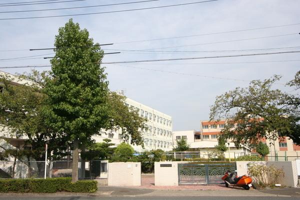 中学校