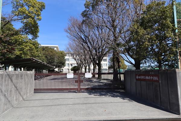 中学校