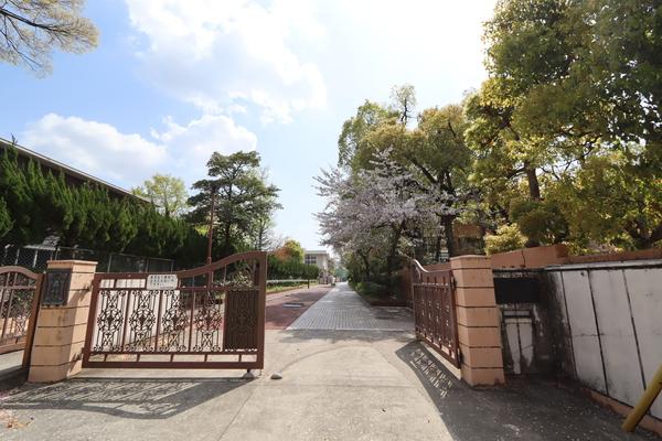 中学校