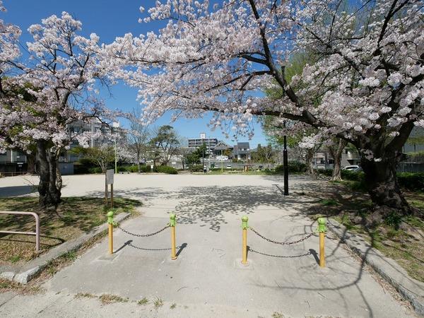 公園