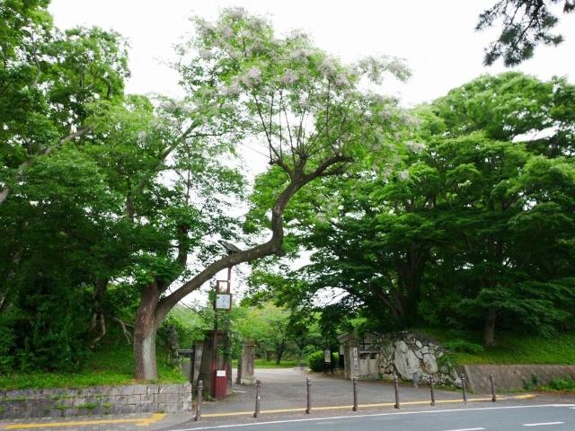 公園