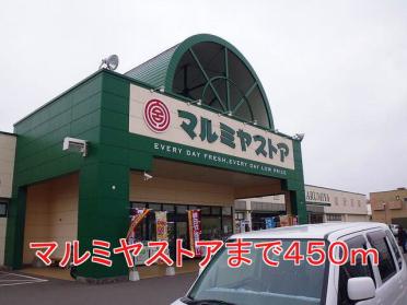 ダイレックス　森町店：1300m