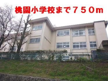 桃園小学校：750m