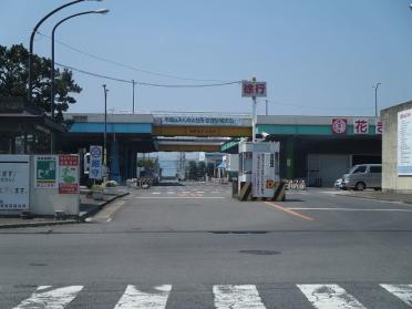 地方卸売市場：500m