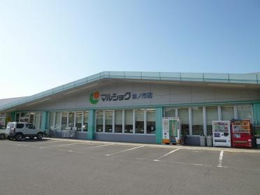 マルショク坂ノ市店：2000m