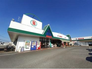 新鮮市場　松岡店：1400m