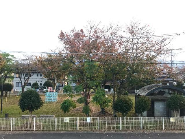 シャン・カルフール 眺望