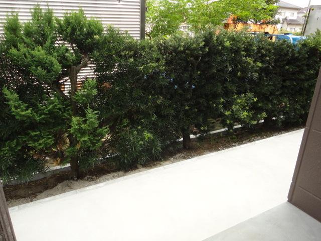 ロココモダン 部屋画像