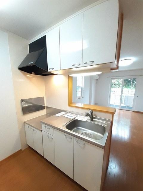 Ｓ．Ｒｅｓｉｄｅｎｃｅ（101） キッチン