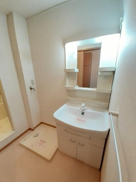 Ｓ．Ｒｅｓｉｄｅｎｃｅ（101） 洗面