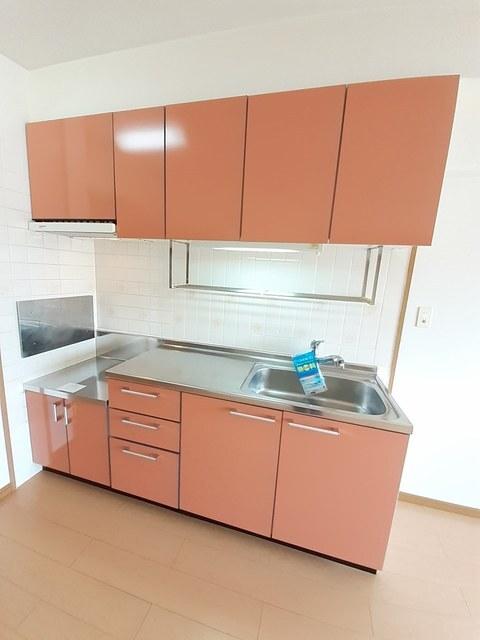 スターメゾン古国府（301） キッチン