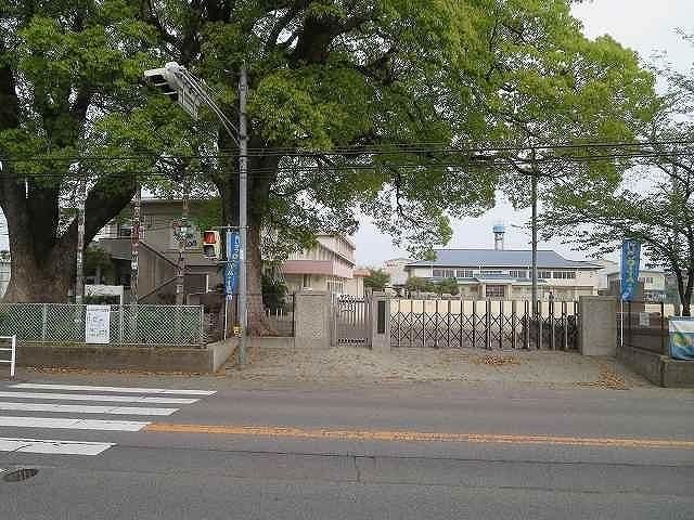 明治小学校：900m