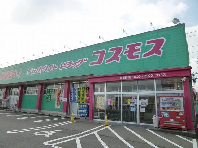 コスモス：650m