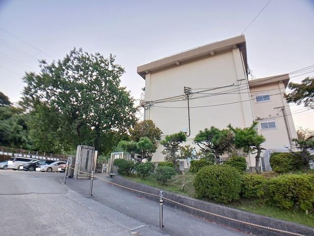 桃園小学校：450m