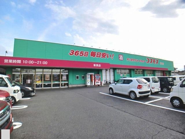 コスモス　新貝店：800m