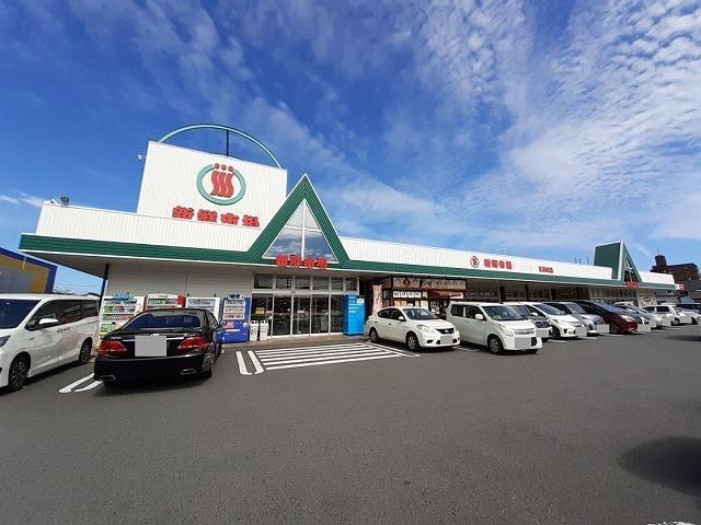 新鮮市場　花高松店：250m