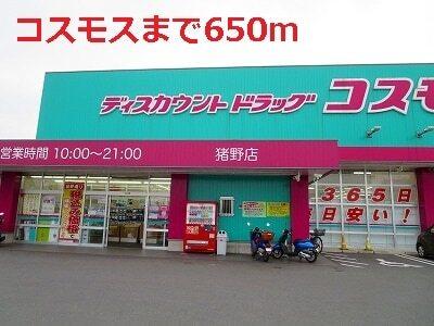 コスモス：650m
