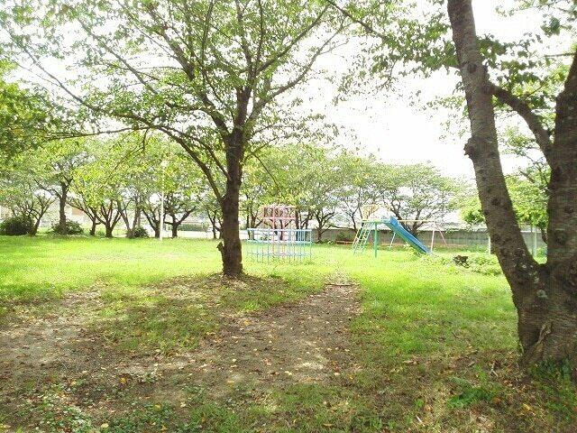 横尾公園：350m