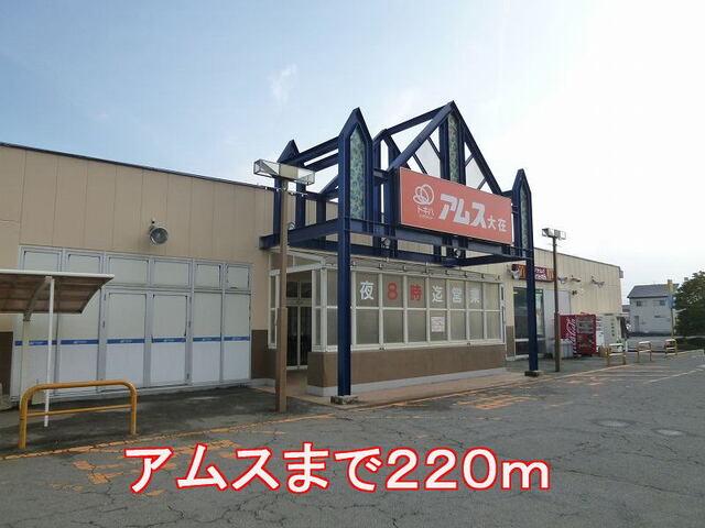 アムス大在：220m