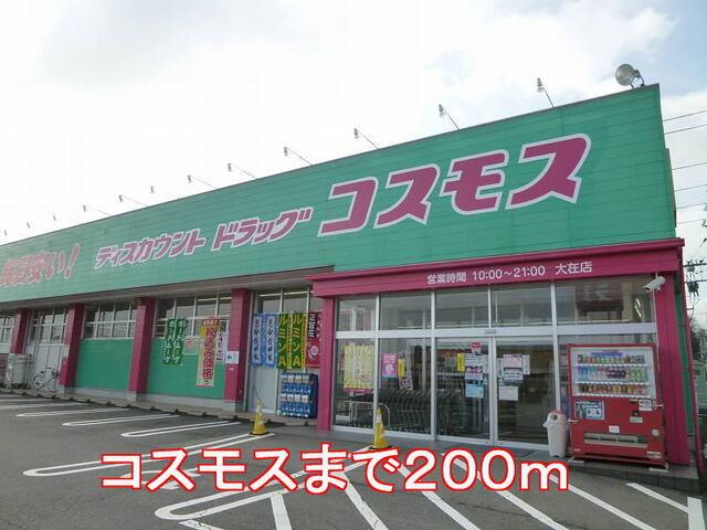 コスモス：200m