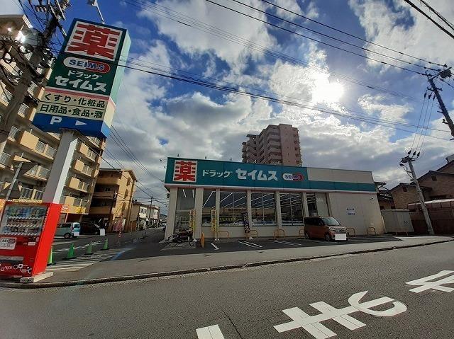 セイムス　金池南店：600m
