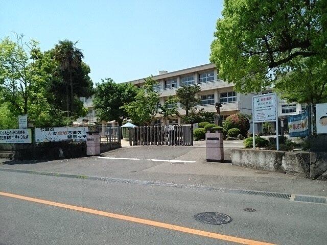 稙田小学校：700m