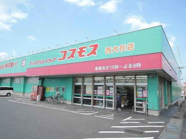 コスモス：1600m