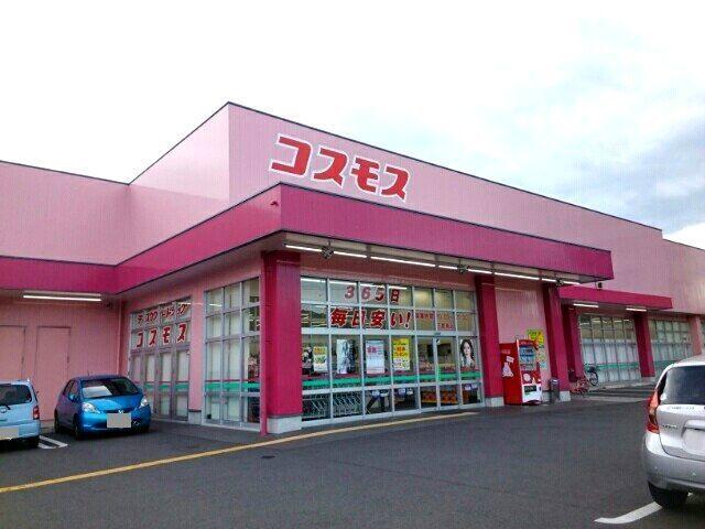 コスモス：750m