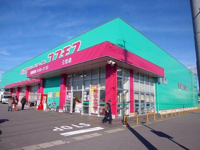 コスモス：1100m