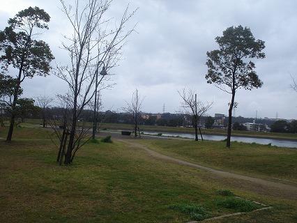 公園：5m