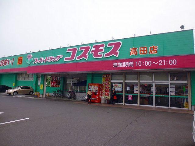 コスモス：900m