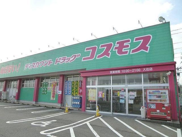 コスモス：700m
