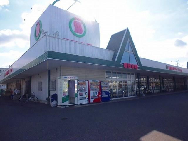 新鮮市場：2000m