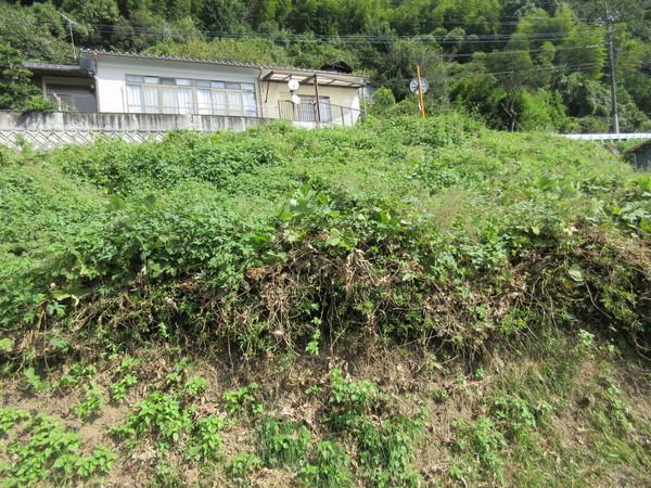 別府市平道売土地 土地