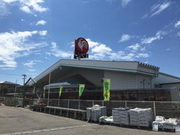 コメリハード＆グリーン大崎店：2323m