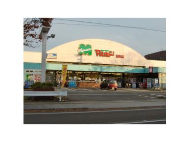 マルセン荒町店：343m