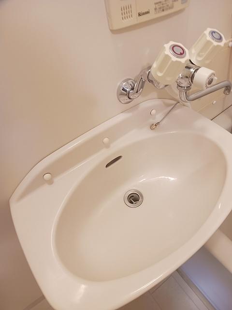 エルディム田巻Ａ（104） 洗面